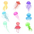Flat vectoe set of jellyfish of different colors. Marine animals with long tentacles. Sea and ocean life