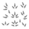 Flat Vector Agriculture Wheat Icon Set Isolated. Organic Wheat and Rice Ears. Design Template for Bread, Beer Logo Royalty Free Stock Photo