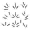 Flat Vector Agriculture Wheat Icon Set Isolated. Organic Wheat and Rice Ears. Design Template for Bread, Beer Logo Royalty Free Stock Photo