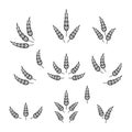 Flat Vector Agriculture Wheat Icon Set Isolated, Organic Wheat, Rice Ears. Design Template for Bread, Beer Logo