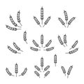 Flat Vector Agriculture Wheat Icon Set Isolated, Organic Wheat, Rice Ears. Design Template for Bread, Beer Logo