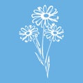 Flat vector beautiful white chamomile and leaves