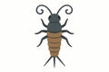 Flat vector bristletail insect with curled antennae and simplified segments, vector-friendly, isolated on white Royalty Free Stock Photo