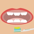 Flat vector Brushing teeth Toothrush with toothpaste Royalty Free Stock Photo