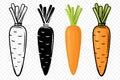 Flat Vector Carrot Icon Set Closeup Isolated. Fresh Black and White and Color Carrots. Healthy Concept, Vegetable Royalty Free Stock Photo