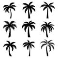 Flat Vector Cartoon Black and White Palm Trees, Palm Tree Silhouette Icon Set Isolated. Palm Design Template for Royalty Free Stock Photo