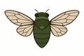 Flat vector cicada with wide wings and green shell, simplified shapes, vector-friendly, isolated on white Royalty Free Stock Photo
