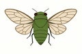 Flat vector cicada with wide wings and green shell, simplified shapes, vector-friendly, isolated on white Royalty Free Stock Photo