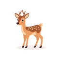 Flat Vector Cute Deer. Little Deer Icon. Adorable Walking Deer or Reindeer Cartoon Character Isolated on White