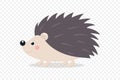 Flat Vector Cute Hedgehog. Little Hedgehog Icon. Adorable Walking Hedgehog Cartoon Character Isolated on White