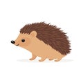 Flat Vector Cute Hedgehog. Little Hedgehog Icon. Adorable Walking Hedgehog Cartoon Character Isolated on White