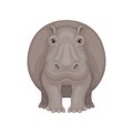 Flat vector design of large gray hippo, front view. African mammal creature. Animal of Safari park