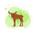 Flat vector elk logo isolated on white background Royalty Free Stock Photo