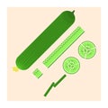 Flat vector fresh green cucumber icon: full, cut, sliced and cubed. Nice cooking symbol for recipe, menu