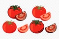 Flat Vector Fresh Tomato Icon Set Isolated. Whole and Quartered Tomatoes Design Templates for Recipes, Menus, Culinary Royalty Free Stock Photo