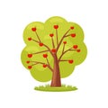 Flat vector icon of big green tree with red apples. Natural landscape element. Farm garden theme Royalty Free Stock Photo