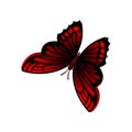 Flat vector icon of bright red-black butterfly with beautiful ornaments on wings. Flying insect. Element for greeting Royalty Free Stock Photo