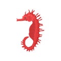 Flat vector icon of bright red seahorse, side view. Exotic sea animal. Marine creature. Underwater life