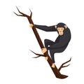 Flat vector icon of chimpanzee on tree branch. Big ape with large ears, black fur and light face. Wild African monkey Royalty Free Stock Photo