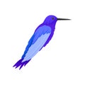 Flat vector icon of gorgeous blue colibri. Tropical bird with long beak. Fauna theme