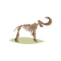 Flat vector icon of mammoth skeleton. Bones of prehistoric animal. Object of paleontology museum