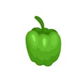 Flat vector icon of sweet Bulgarian bell pepper. Fresh green paprika. Organic and healthy food