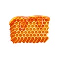 Flat vector icon of sweet honeycombs, honey flowing down. Natural product from apiary farm Royalty Free Stock Photo