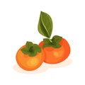 Flat vector icon of two ripe persimmons. Bright orange fruit with green leaf. Tasty food. Element for product packaging Royalty Free Stock Photo