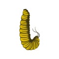 Flat vector icon of yellow caterpillar. Larva of butterfly. Insect with pair of antennae. Entomology theme Royalty Free Stock Photo