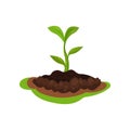 Flat vector icon of young green plant with small leaves sprouting from the ground. Gardening and cultivation theme Royalty Free Stock Photo