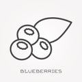 Flat vector icons with blueberries