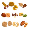 Flat vector icons of nuts and seeds. Hazelnut, pistachio, cashew, nutmeg, walnut, brazil nut, pecan, peanut and almond Royalty Free Stock Photo