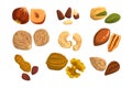 Flat vector icons of nuts and seeds. Hazelnut, pistachio, cashew, nutmeg, walnut, brazil nut, pecan, peanut and almond Royalty Free Stock Photo