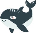 Flat vector illustration in children's style. Cute killer whale with smiling face on white background Royalty Free Stock Photo