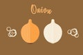 Flat vector illustration of golden onion