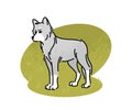 Flat vector illustration of a gray wolf. A large wild animal, an inhabitant of the forest, isolated on a white