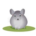 Chinchilla illustration with gray and light gradients