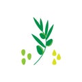 Flat vector illustration of olive seeds, plants and a drop of oil.