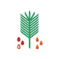 Flat vector illustration of palm seeds, plants and a drop of oil.