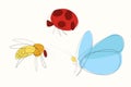 Set of insects bees, butterflies and ladybugs in one line