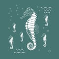 Flat vector illustration with white seahorse on blue background.