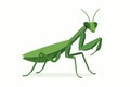 Flat vector mantis standing with folded legs and angular posture, green tone, vector-friendly, isolated on white Royalty Free Stock Photo
