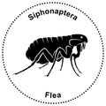 Semiabstract figure of a flea Siphonaptera