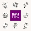 Flat vector outline flower icons set. Illustration for backgrounds or patterns Royalty Free Stock Photo