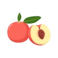 Flat vector of Peaches, Stone fruit family