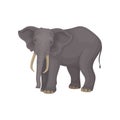 Flat vector portrait of adult elephant. Wild African or Asian animal with large ears, long trunk, tusks and tail Royalty Free Stock Photo