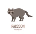 Flat vector raccoon logo