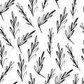 Flat vector seamless pattern. Hand drawn botanical ink illustration