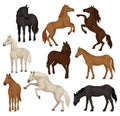 Flat vector set of brown, beige and black horses in different poses. Big mammal animals with hoofs, flowing mane and