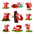 Flat vector set of cartoon squirrel in different actions. Sleeping, climbing up tree trunk, eating ice-cream and acorn Royalty Free Stock Photo